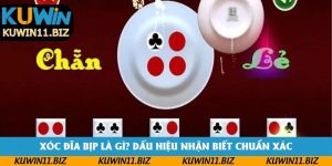 Xóc Đĩa Bịp Là Gì? Dấu Hiệu Nhận Biết Chuẩn Xác